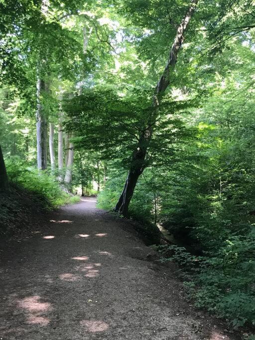 Sfeervol Chalet In Drenthe Bij Het Dwingelderveld Villa Spier Eksteriør billede