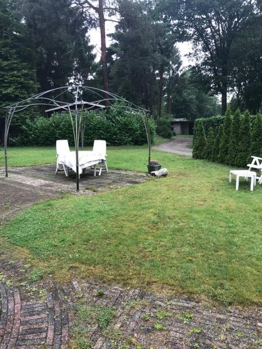 Sfeervol Chalet In Drenthe Bij Het Dwingelderveld Villa Spier Eksteriør billede