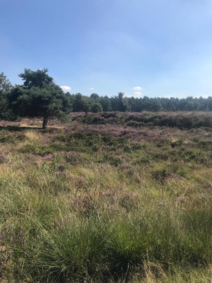 Sfeervol Chalet In Drenthe Bij Het Dwingelderveld Villa Spier Eksteriør billede