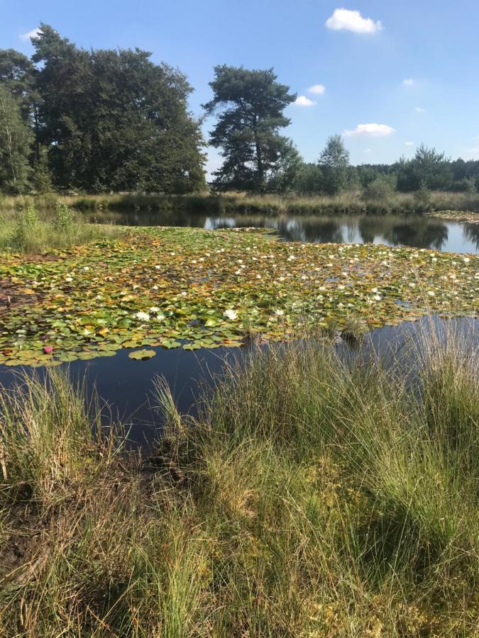 Sfeervol Chalet In Drenthe Bij Het Dwingelderveld Villa Spier Eksteriør billede