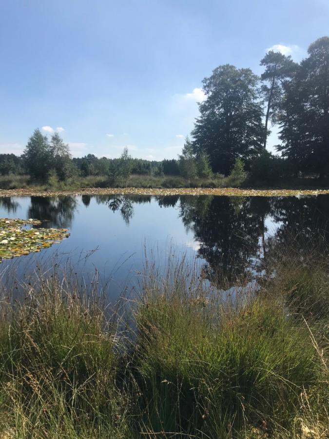 Sfeervol Chalet In Drenthe Bij Het Dwingelderveld Villa Spier Eksteriør billede
